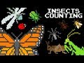Insects Counting Learn Counting To 12 With Bugs The Kids Picture Show Learning Video