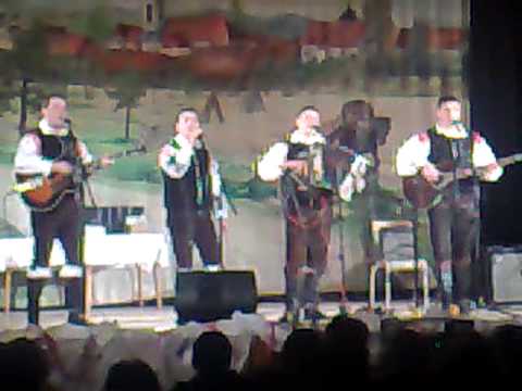 Ansambel Vrt Deklica