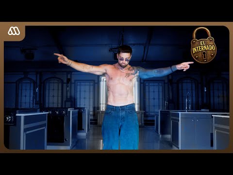 MEGA Oficial and Luis Mateucci