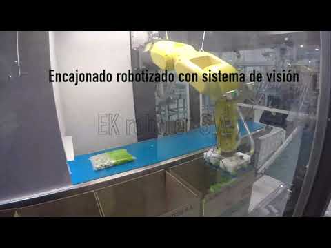 Instalación Para Encajonado y Palletizado De Legumbres Congeladas