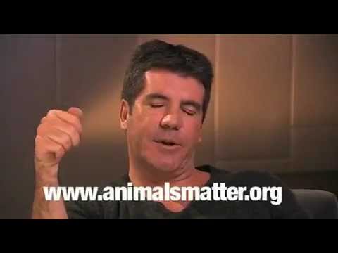 X FACTOR - Astro, Simon Cowell Insults Animal Abuse, Final Songs Picks American Idol Auditions PETA