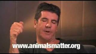 X FACTOR - Astro, Simon Cowell Insults Animal Abuse, Final Songs Picks American Idol Auditions PETA