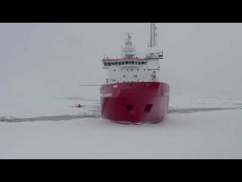 Shackleton's ship 'Endurance' found beneath Antarctic ice, 100 years on