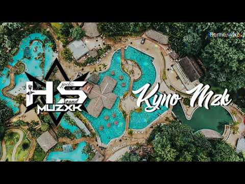 DJ ViBz x Next Level - Particula (Zouk Remix)💥💫