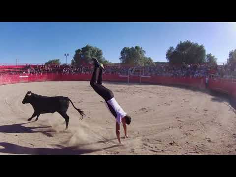 Extraordinaria exhibición de recorte de Talento Castellano en Villares de Yeltes