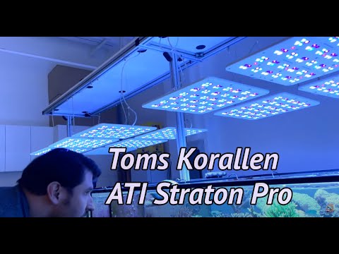 ATI Straton Pro - was sagt der Profi Korallenzüchter dazu?