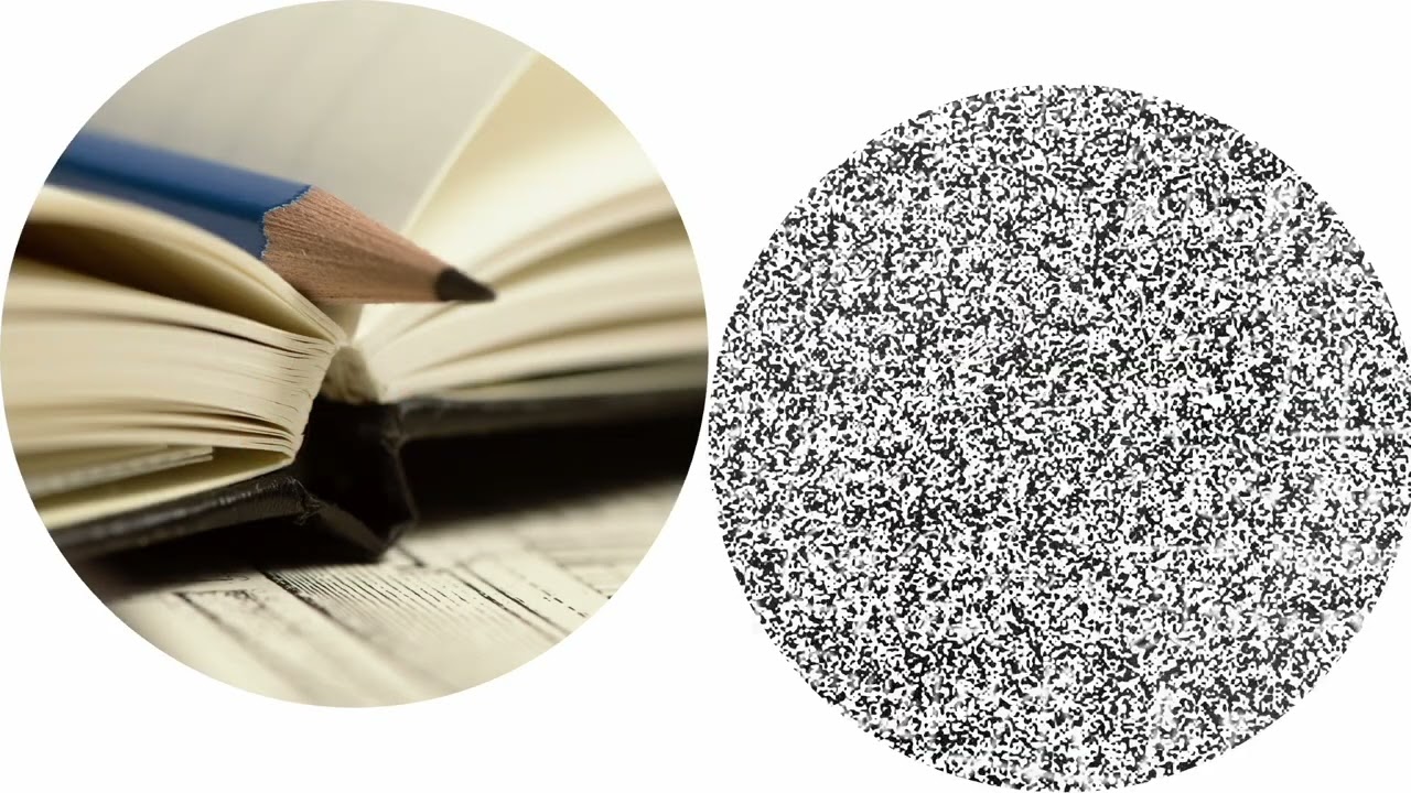 The gut, our second brain - The enteric nervous system