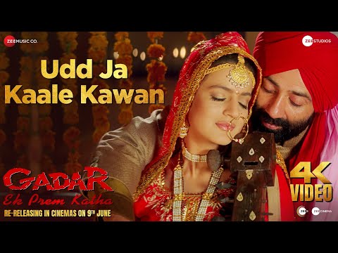 Udd Ja Kaale Kawan — watch video