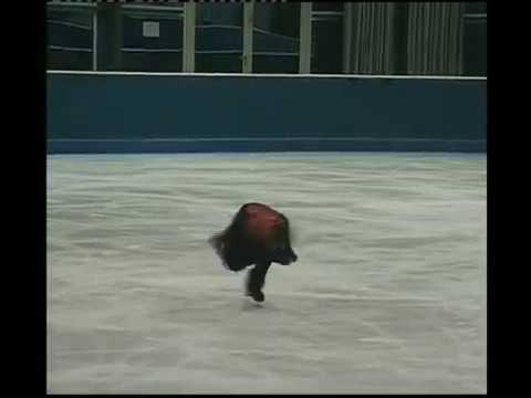 Alex Kang Chan KAM        KOR    49,57 points