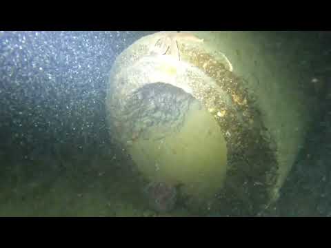 SMS Kronprinz Wilhelm Battleship Shenanigans Looking For Guns