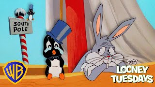 Can Bugs Bunny Help the LOST Baby Penguin?! 🐧❄️ | Looney Tuesdays | #KidsCartoons @wbkids