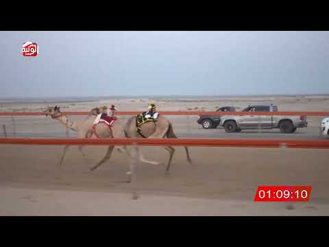  ش 5 (صوغه) لـ سلطان خلف بن خادم الرميثي 2:59 ، شارة الشيخ طحنون 2026/8/15 فطامين السمحه