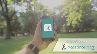 Sabia que é possivel fazer a inscrição dos seus alados pelo celular ?