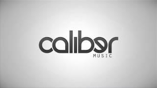 Flatmate - Hot Ball (Vexisle Rmx) [Caliber Music]