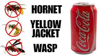 TWO MILE TRAP For Wasp Hornet And Yellow jackets | SAFE FOR HONEY BEES