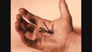 Seether/Saron Gas - Gasoline [Bonus Track]