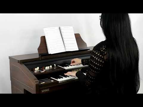 TOKAI MD-20: Hino 450 - CCB