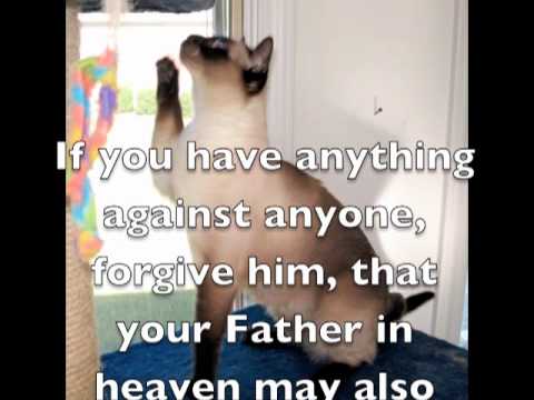 Praying Cats 2: Sweet Hour of Prayer