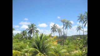 Paulo Cardoso (Bass) - Gostosa