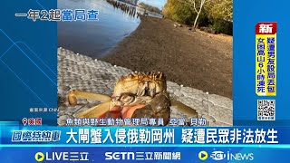 俄勒岡頻遭外來蟹入侵 衝擊鄰近養殖業 大閘蟹也&quot;潤美&quot; ! 俄勒岡淺灘驚現外來物種│國際關鍵字20251205│三立iNEWS
