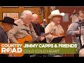 Jimmy Capps & Friends play "Cold Cold Heart"