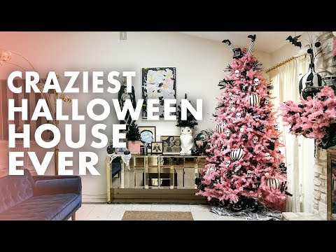 Another Meadow Productions, LLC video.