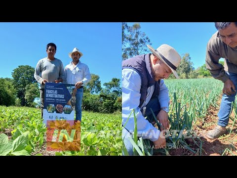 SE VIENE UN DÍA DE CAMPO PROMOVERÁ PRÁCTICAS DE PRODUCCIÓN SOSTENIBLE