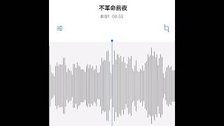 #駄菓子cOver型 - 不革命前夜/NEE