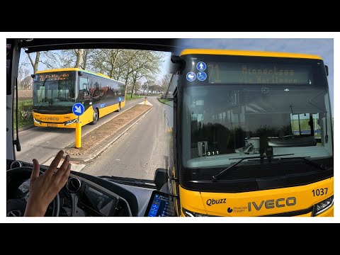 Qbuzz FRL Lijn 71 - Zurich Kop Afsluitdijk - Leeuwarden via Minnertsga