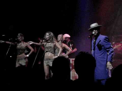 KID CREOLE & THE COCONUTS - DON'T TAKE MY COCONUTS - LIVE LONDON 2009