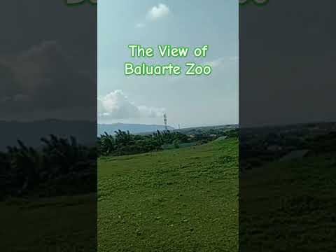 A bela vista do Zoológico Baluarte Ilocos Sur #chilllang #seth