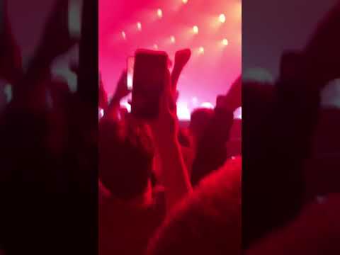 Видеозаписи GONE fludd and MORGENSHTERN fan