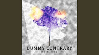 Dummy Contrary Music Video