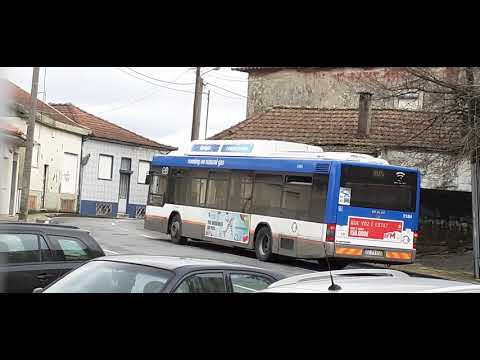 STCP No Linha 805 Veículo 3184, 29/01/2021 Part3