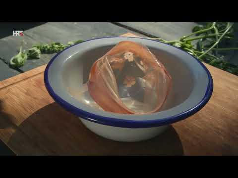 VRTLARICA - Tajna eteričnih ulja