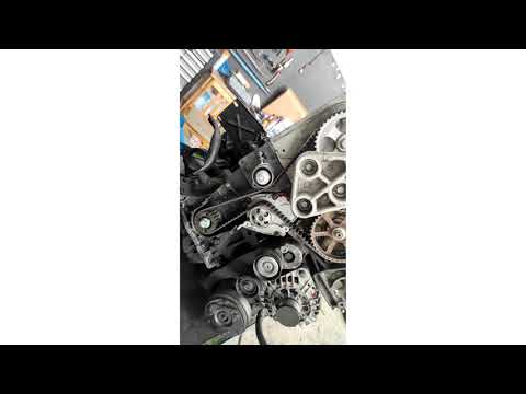 cum se pune la punct un motor 1.9 Opel vivaro!!