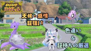 【ポケモンSV】 色違い・証持ちの厳選をやる！    レアな証が欲しい🦇　初見・初心者歓迎💠 【魔天使ぺトラ】