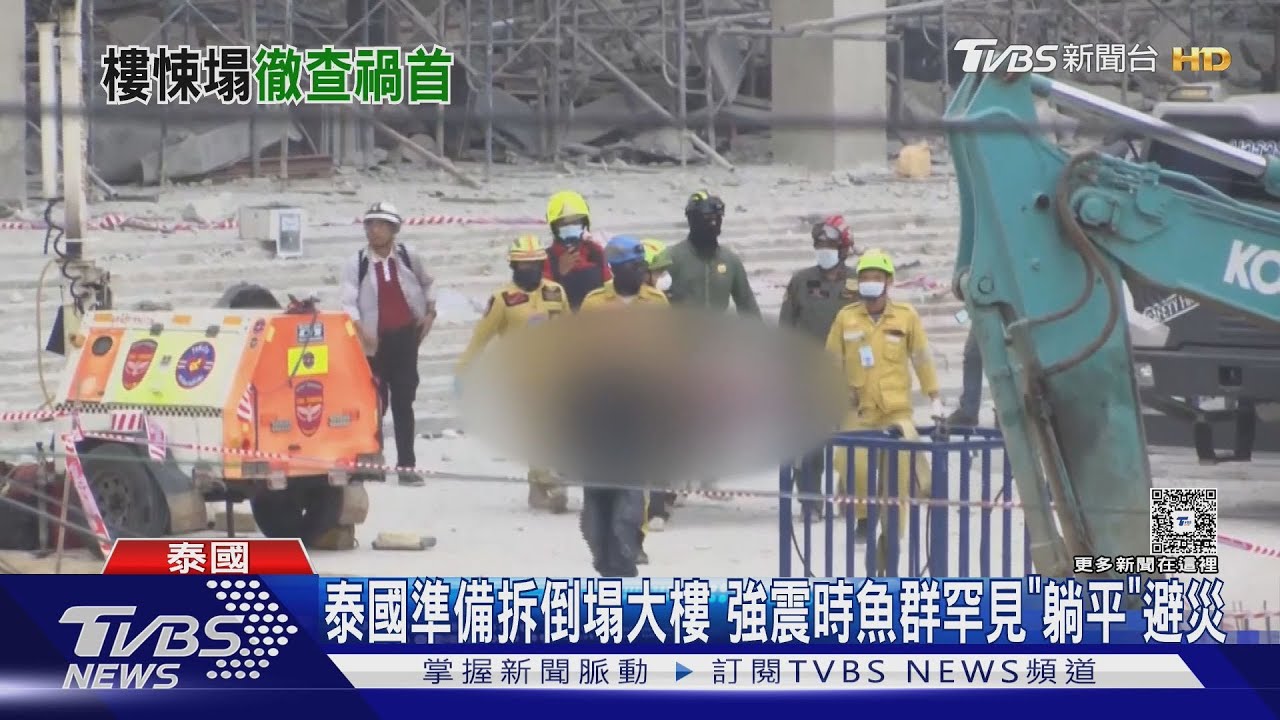 泰國準備拆倒塌大樓　強震時魚群罕見「躺平」避災