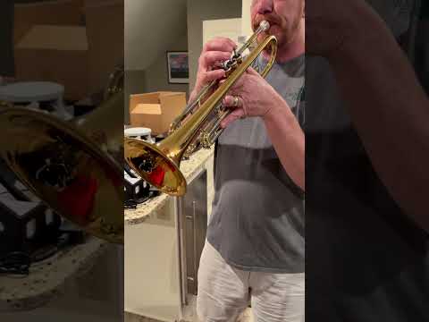 Jupiter CEB-660 Capital Edition 2017 - Rose Brass and Nickel Silver image 26
