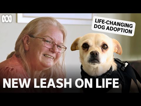 How adopting a dog can change your life | New Leash On Life | ABC TV + iview
