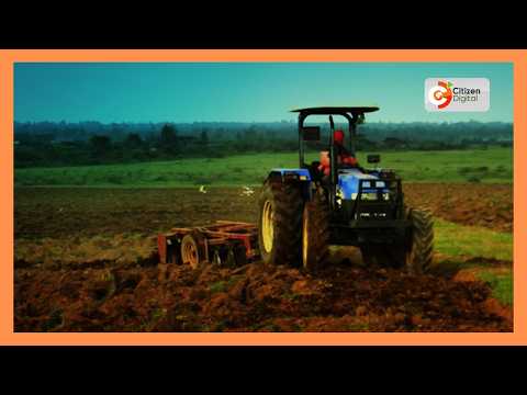 Wakulima washauriwa kupanda mimea inayokomaa haraka ili kukabili njaa