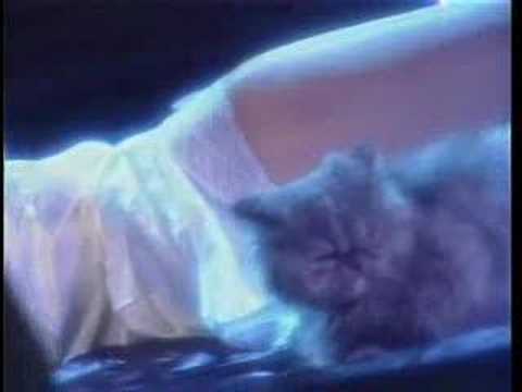 download lagu mp3 mp4 Esquece O Meu Nome, download lagu Esquece O Meu Nome gratis, unduh video klip Esquece O Meu Nome