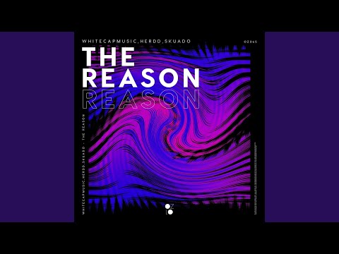 The Reason