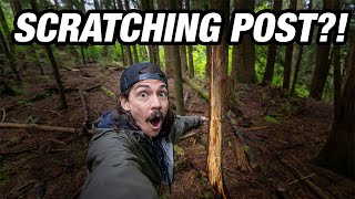 Did I Find a Mountain Lion Litter Box? Oregon Overland Adventure