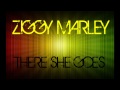 Ziggy Marley "There she goes"