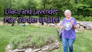 LILACS AND LAVENDER: May Garden Update!