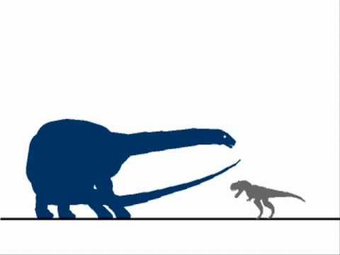 ティラノサウルス対アンフィコエリアス