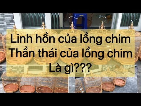 Hướng Dẫn cách chọn mua lồng chim đẹp | Lồng Chim Vũ Minh | sdt & zalo 0908.561.943