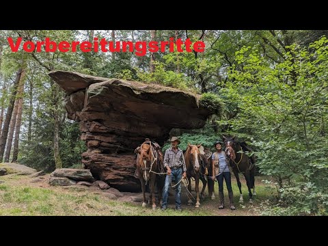 Preparation and mountain training for Auri in the Palatinate Forest | Trail riding