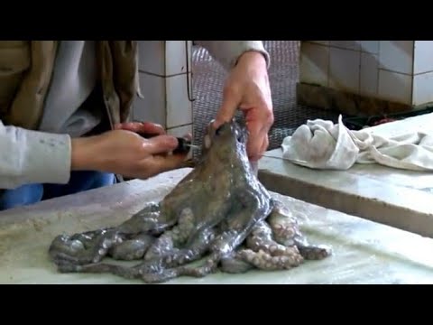 Badnji dan - Srebro i Zlato Zadra grada - BRAŠO